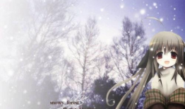 雪动漫,冬日童话，梦幻动漫之旅